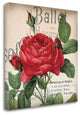 "Scent Of A Rose I" By Sabine Berg, Giclee Print on Gallery Wrap Canvas