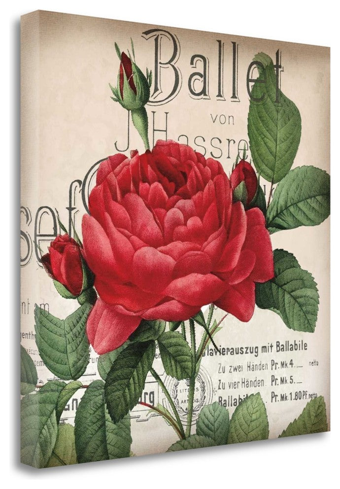 "Scent Of A Rose I" By Sabine Berg, Giclee Print on Gallery Wrap Canvas
