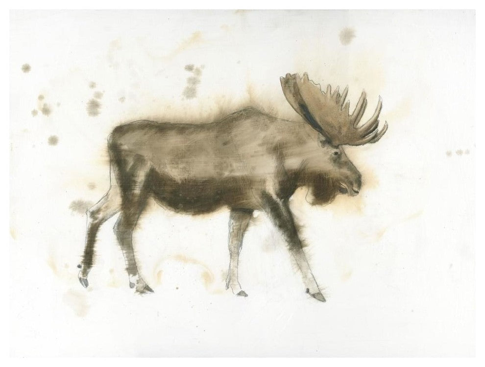 "Moose" Digital Paper Print by James Wiens, 50"x38"