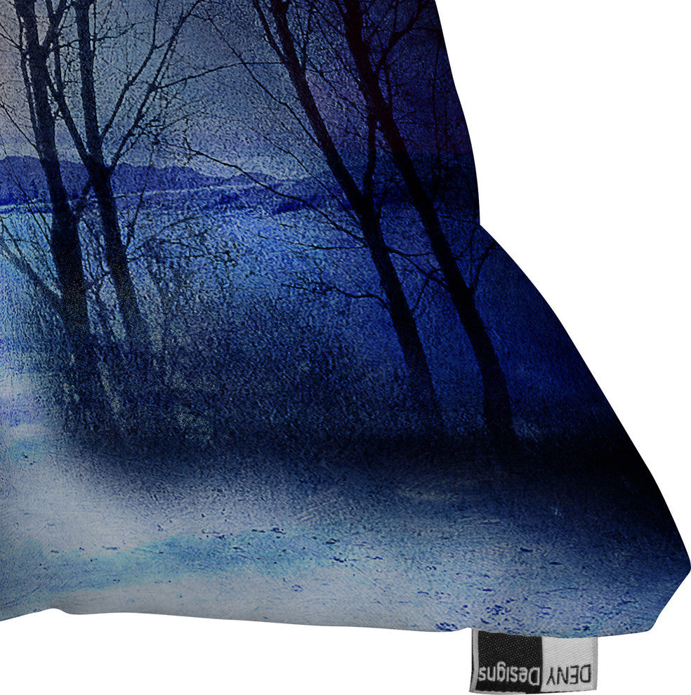 Deny Designs Viviana Gonzalez Winter Sonata Outdoor Throw Pillow