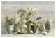 "Greenhouse Orchids on Wood v2" Digital Paper Print by Danhui Nai, 62"x42"