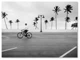 'Florida Beach Bike' Canvas Art by Preston