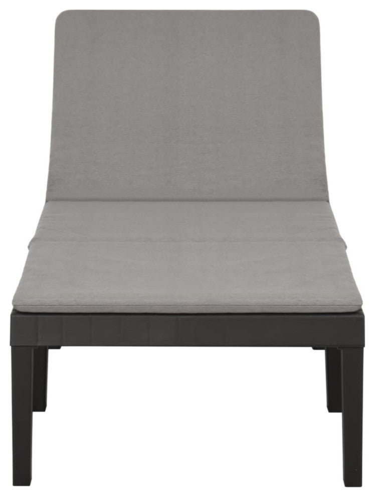 Vidaxl Sun Lounger With Cushion Plastic Anthracite
