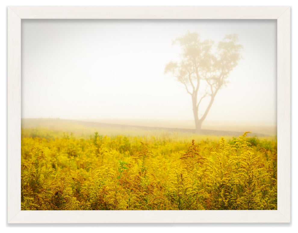 Dreams of Goldenrod and Fog Landscape Framed Photo Paper Wall Art Prints, White, 8" X 10"