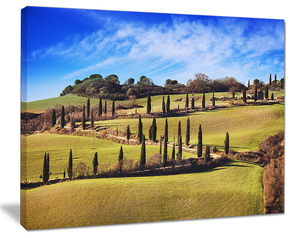 "Cypress Trees Scenic Road Siena Italy" Landscape Wall Art, 40"x30"