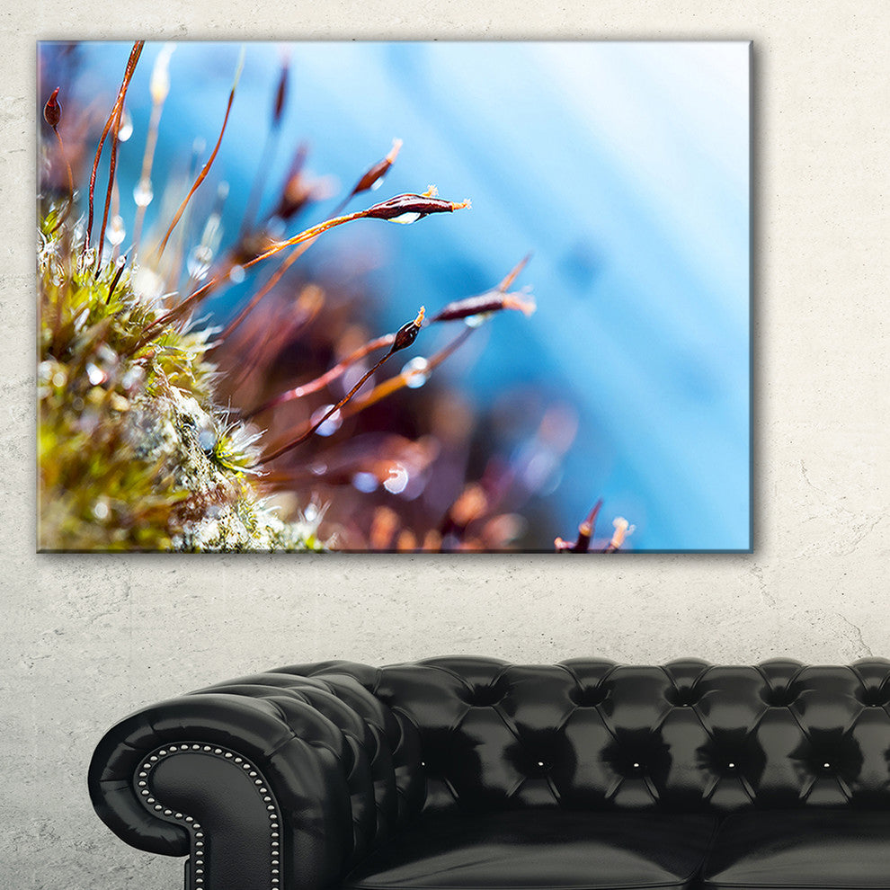 "Abstract Moss Flowers in Summer Spring" Landscape Wall Art, 40"x30"
