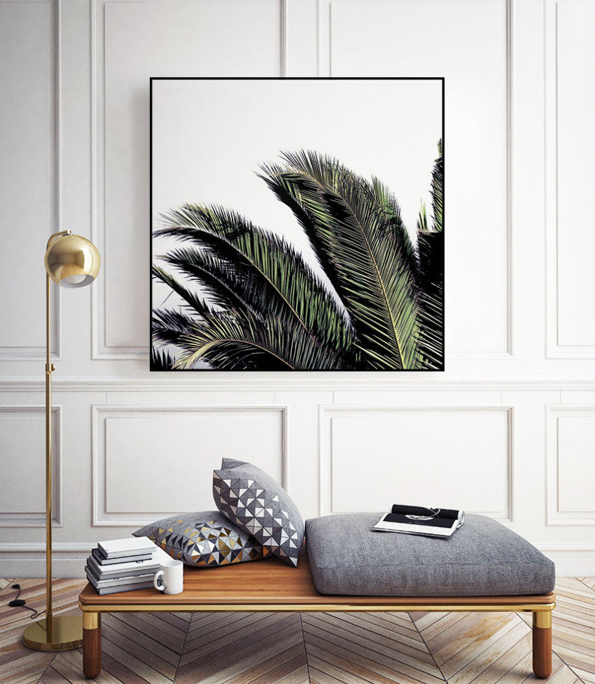 "Cape Storm" CF Print, 30"x30"