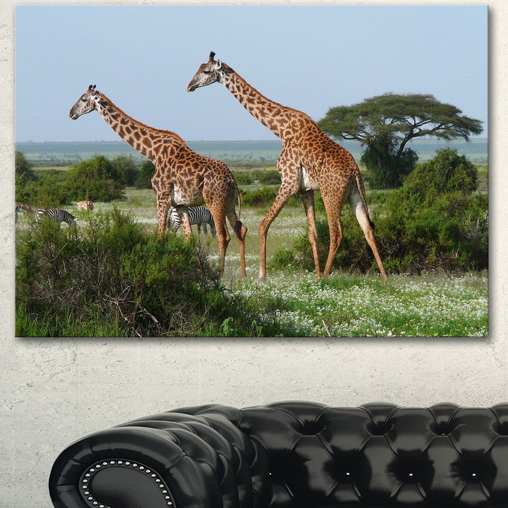 Two Giraffes in African Savannah, African Canvas Art Print, 40"x30"