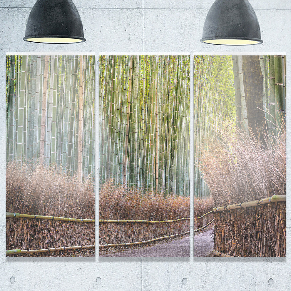 "Pathway Inside Bamboo Forest" Forest Metal Wall Art, 3 Panels, 36"x28"