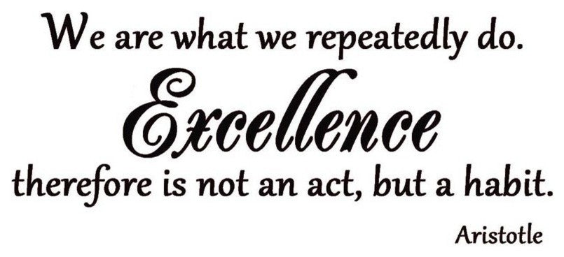 We are what we repeatedly do, Inspirational Wall Art Quote Vinyl Decal Decor