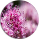 Bright Pink Little Flowers, Flower Round Wall Art, 23"