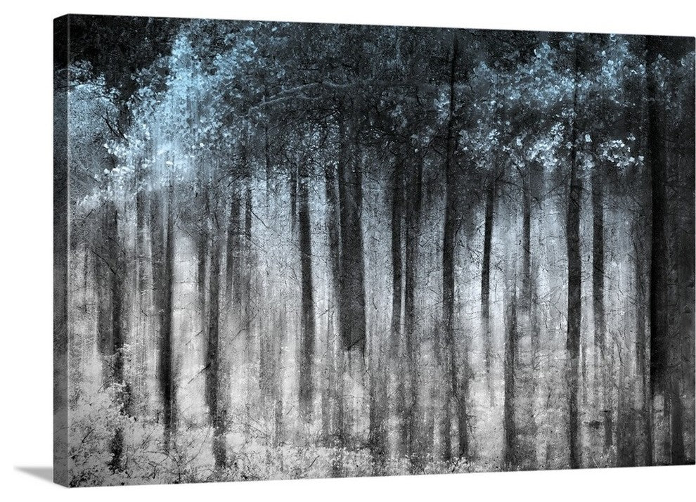 "Ghost Forest " Wrapped Canvas Art Print, 24"x16"x1.5"