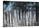 "Ghost Forest " Wrapped Canvas Art Print, 24"x16"x1.5"