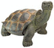 The Cagey Tortoise Statue, Large