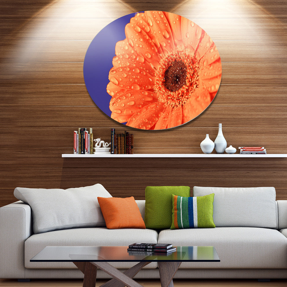 Orange Daisy On Purple Background, Floral Large Disc Metal Artwork, 11"