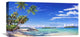 "Spiaggia Tropicale" Artwork, 24"x12"