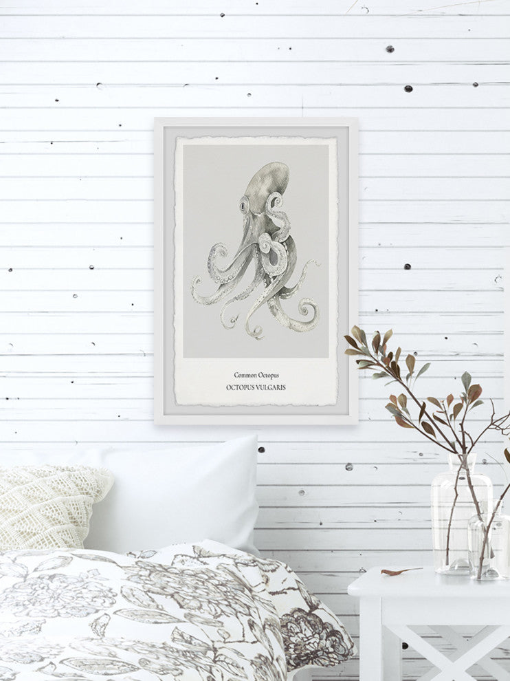 "Octopus Vulgaris" Framed Painting Print, 8x12