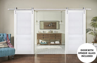 Double Barn Door 48 x 84, Veregio 7411 White, Silver 13FT