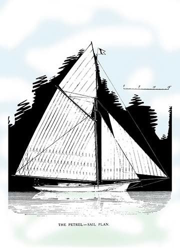 The Petrel - Gallery Wrapped Canvas Art 28" x 42"