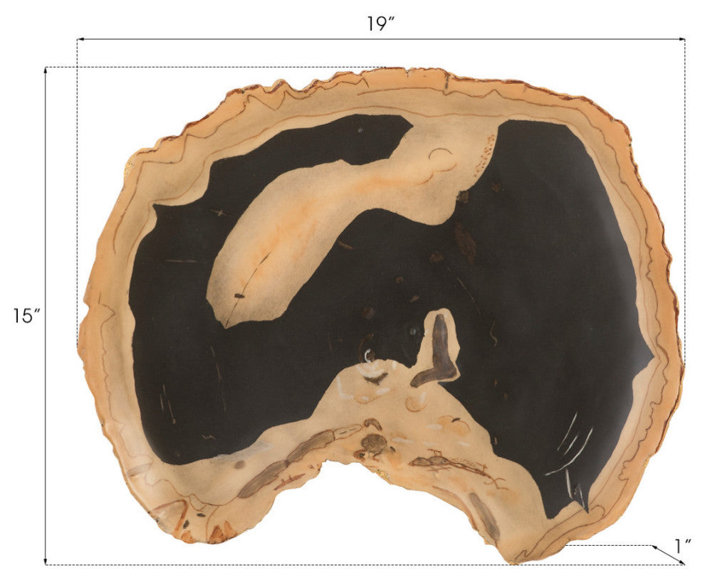 Cast Petrified Wood Wall Decor, Tray Shape