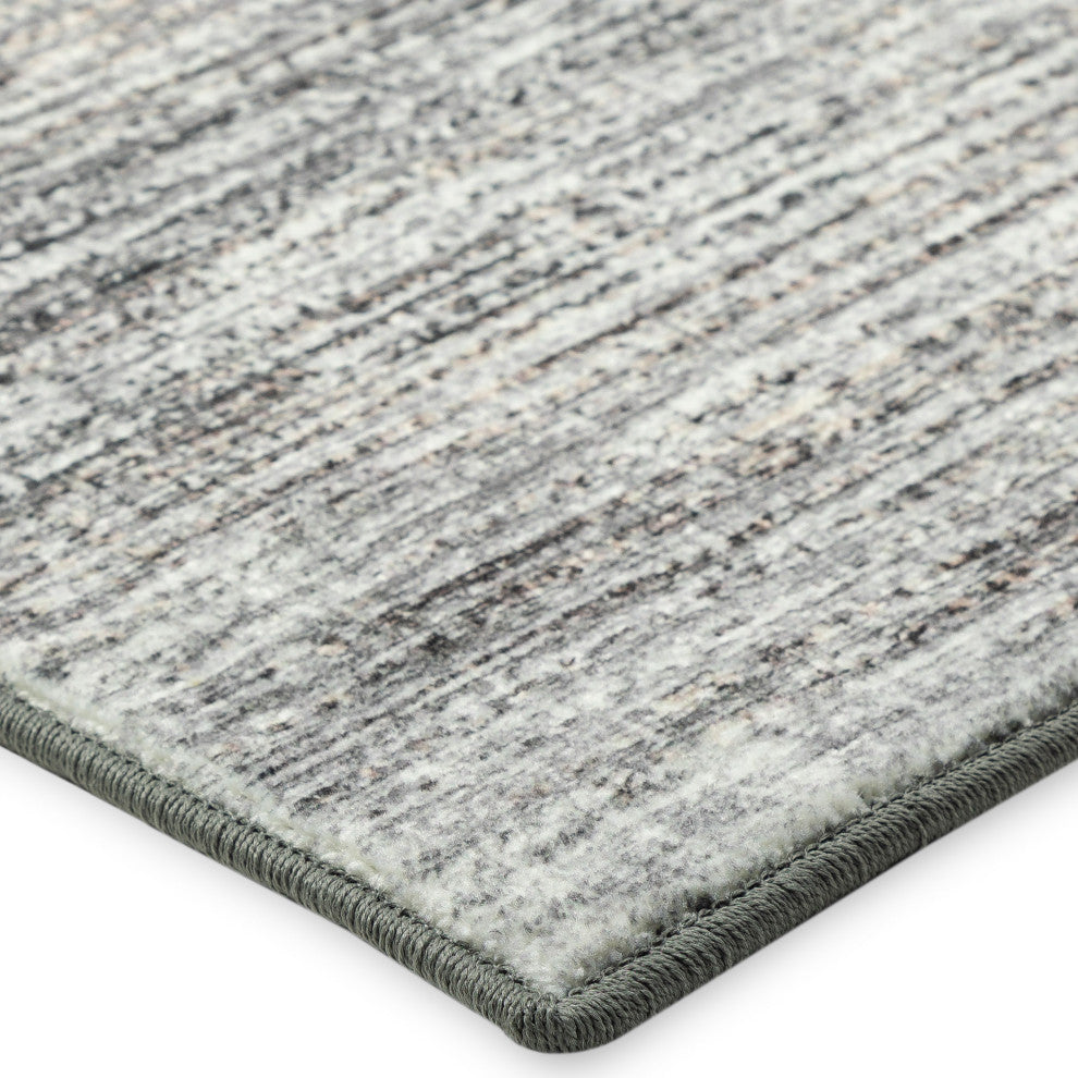 Ciara CR1 Graphite 2' x 3' Rug