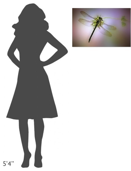 "Green Dragonfly" Stretched Canvas Giclee by Jimmy Hoffman, 24"x16"