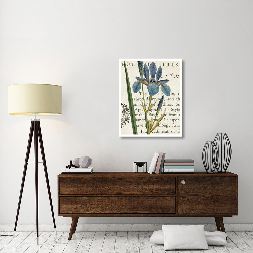 "Iris Letter" Digital Paper Print by Sue Schlabach, 30"x37"