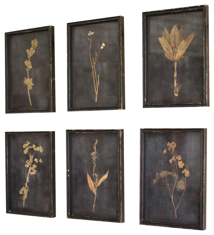 Botanical Prints Under Glass, Set of 6