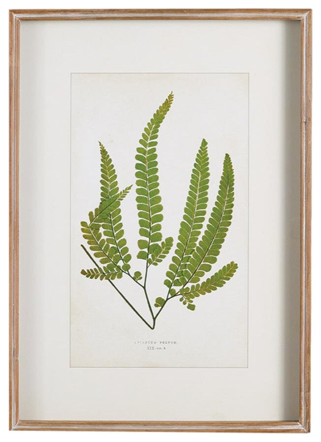 Vintage Style Set of 6 Forest Leaf Prints Fern Tree Leaves Green Tree Woodland