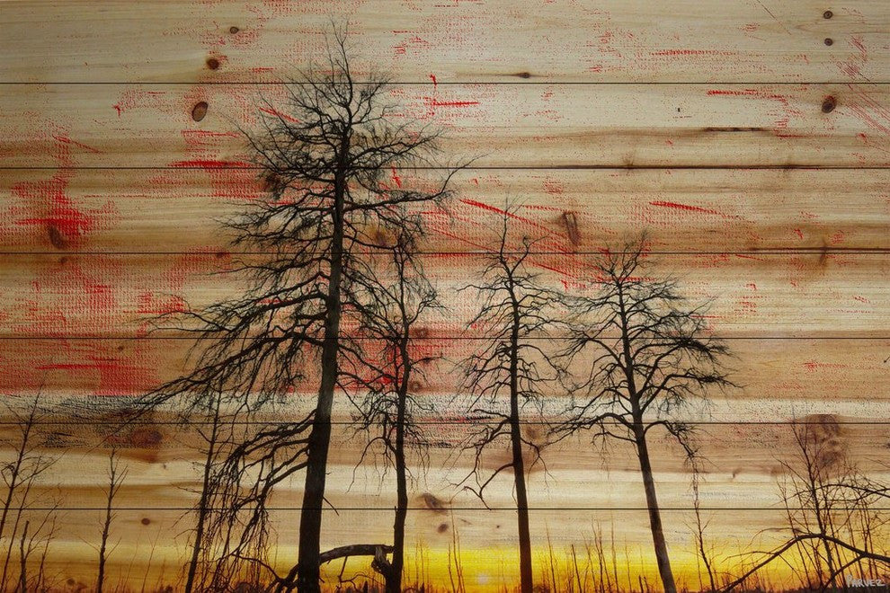 "Tree Skeletons" Print on Natural Pine Wood, 45"x30"