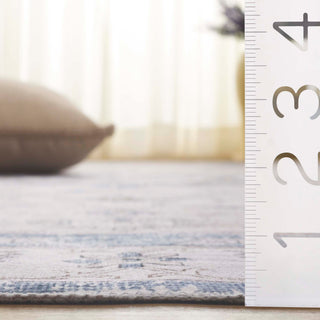 Safavieh Arizona Machine-Washable Collection ARZ216 Rug, Grey/Blue, 6' Round