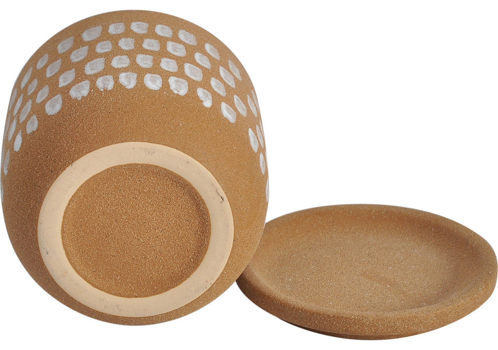 Contemporary Botanical Planter 5.75in Natural - Natural