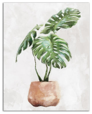 Monstera, Clay Pot 16x20 Canvas Wall Art