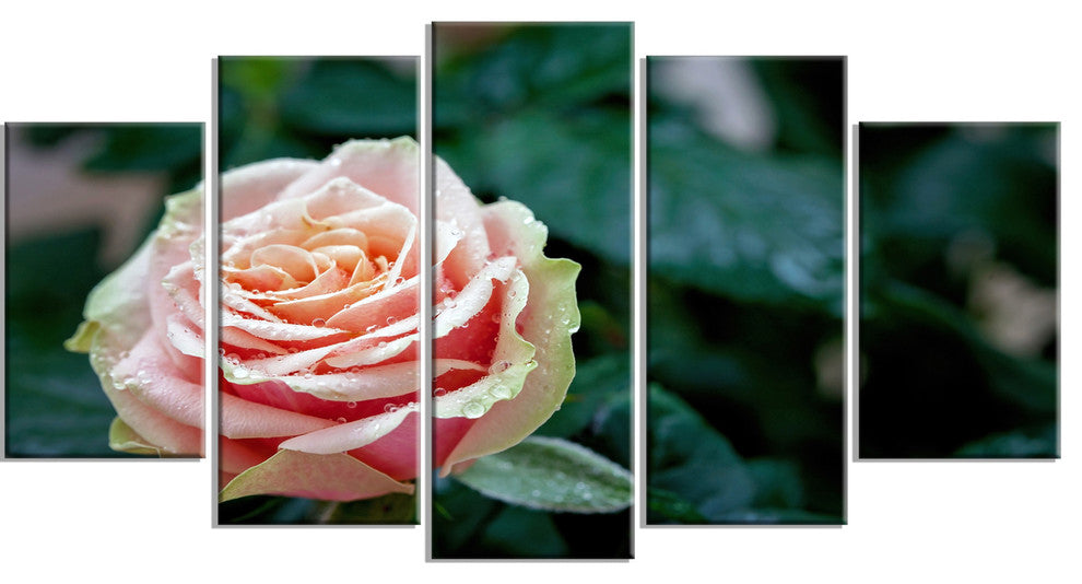Red and Orange Rose Flower Close Up, Floral Canvas Art Print, 60"x32", 5 Panels