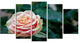 Red and Orange Rose Flower Close Up, Floral Canvas Art Print, 60"x32", 5 Panels