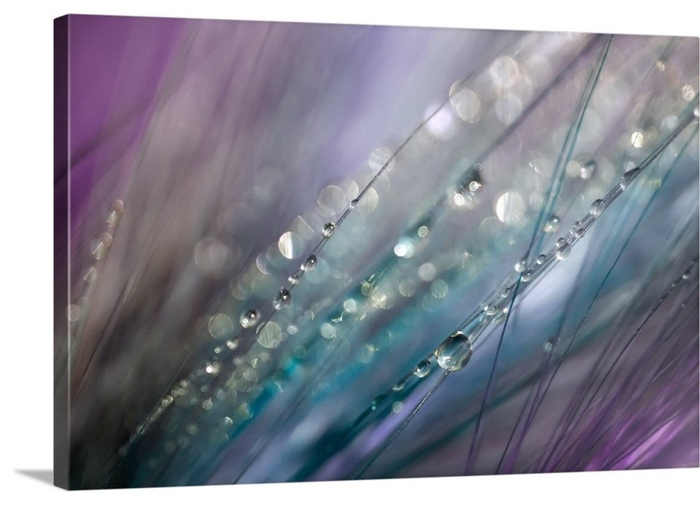 "Dew - Variation II" Wrapped Canvas Art Print, 24"x16"x1.5"