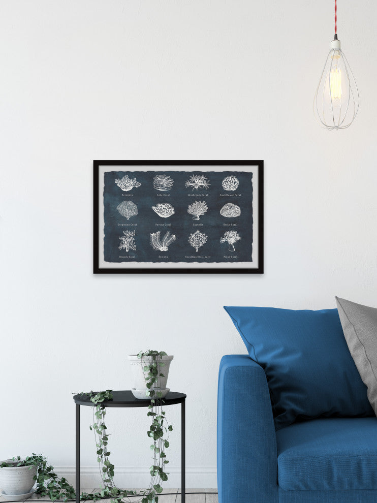 "Coral Identification" Framed Painting Print, 12x8