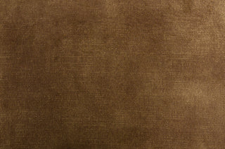 Modrest Bergman Modern Camel Velvet Dining Chair