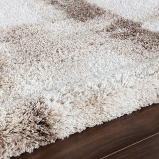 Noori Rug Shag Gordon Beige/Brown Rug