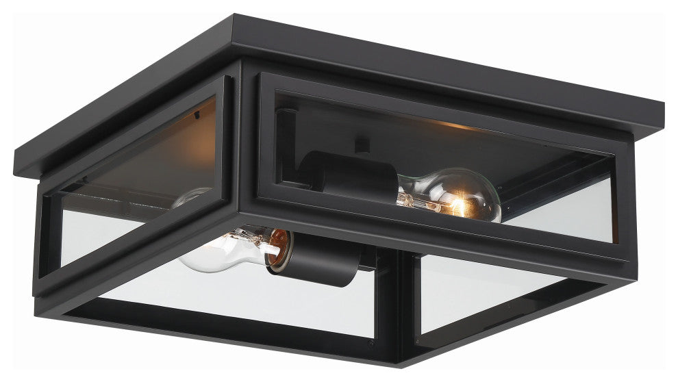 Byron 2-Light Matte Black Outdoor Ceiling Mount