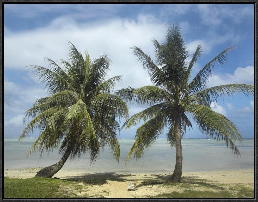 "Palm trees, Agana Beach, Guam" Framed Canvas Giclee by Tim Fitzharris, 25x19"
