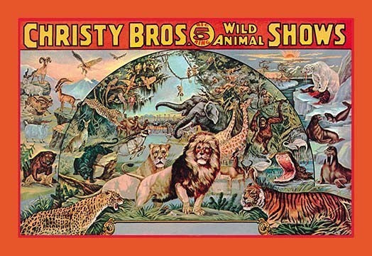 Christy Bros. 5 Ring Wild Animal Shows- Canvas Poster 20" x 30"