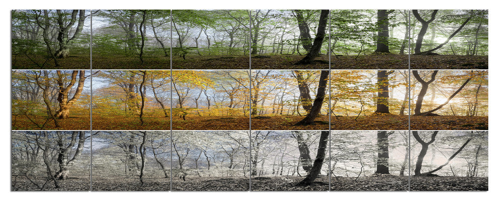 Three Seasons Forest Panorama, Landscape Canvas Art Print, 70"x28", 6 Panels