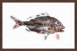 "Dirty Snapper" Framed Painting Print, 24"x16"