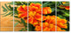 Marigold Flower on Wooden Background, Floral Canvas Art Print, 60"x28", 5 Panels
