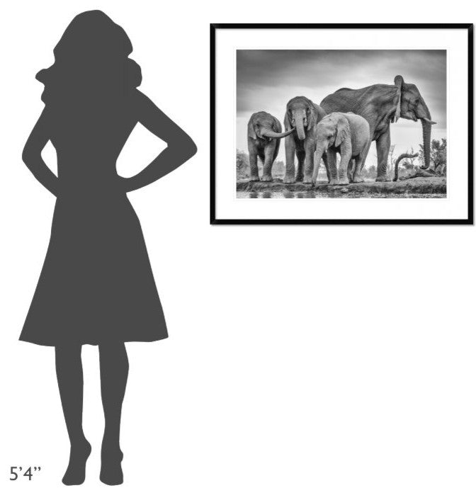 "A Giant Unity" Framed Digital Print by Jaco Marx, 38"x29"