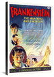"Frankenstein" Stretched Canvas Giclee by Hollywood Photo Archive, 20x30"