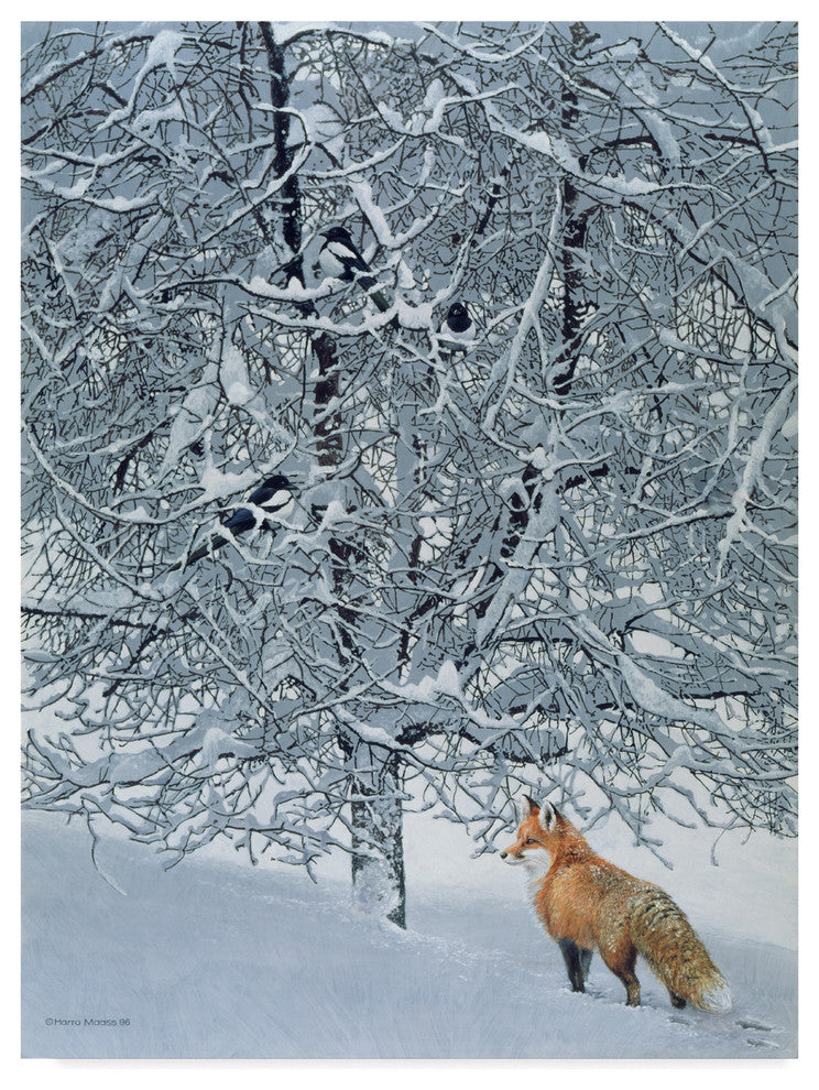 Harro Maass 'Fox In Snow' Canvas Art, 47"x35"