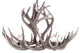 Rocky Mountain Mule Deer Chandelier, Sunbleached Antler, Parchment Shades