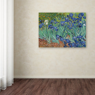 Vincent van Gogh 'Irises 1889' Canvas Art, 24x18